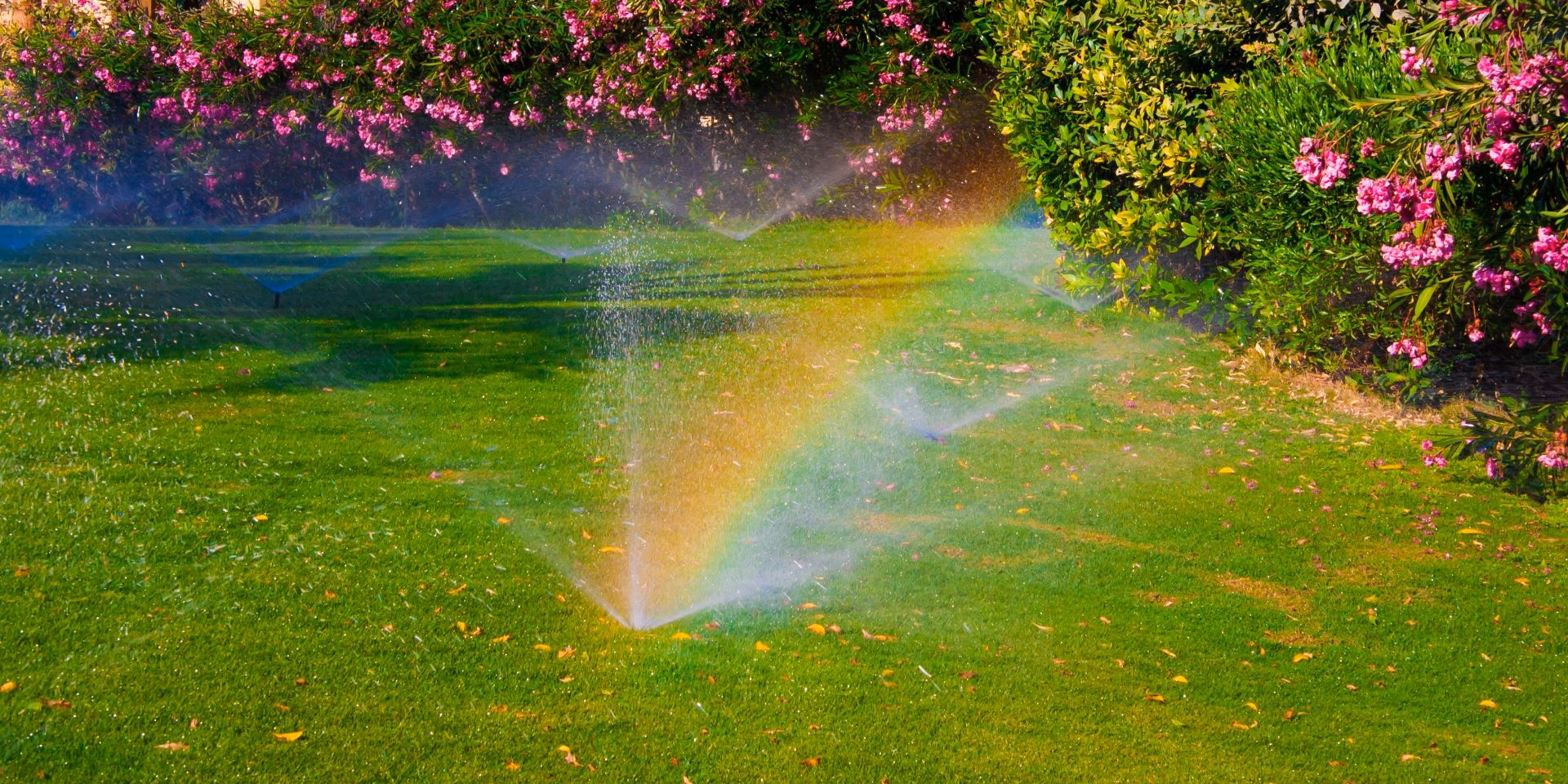 Sprinkler spraying a rainbow mist over a green lawn