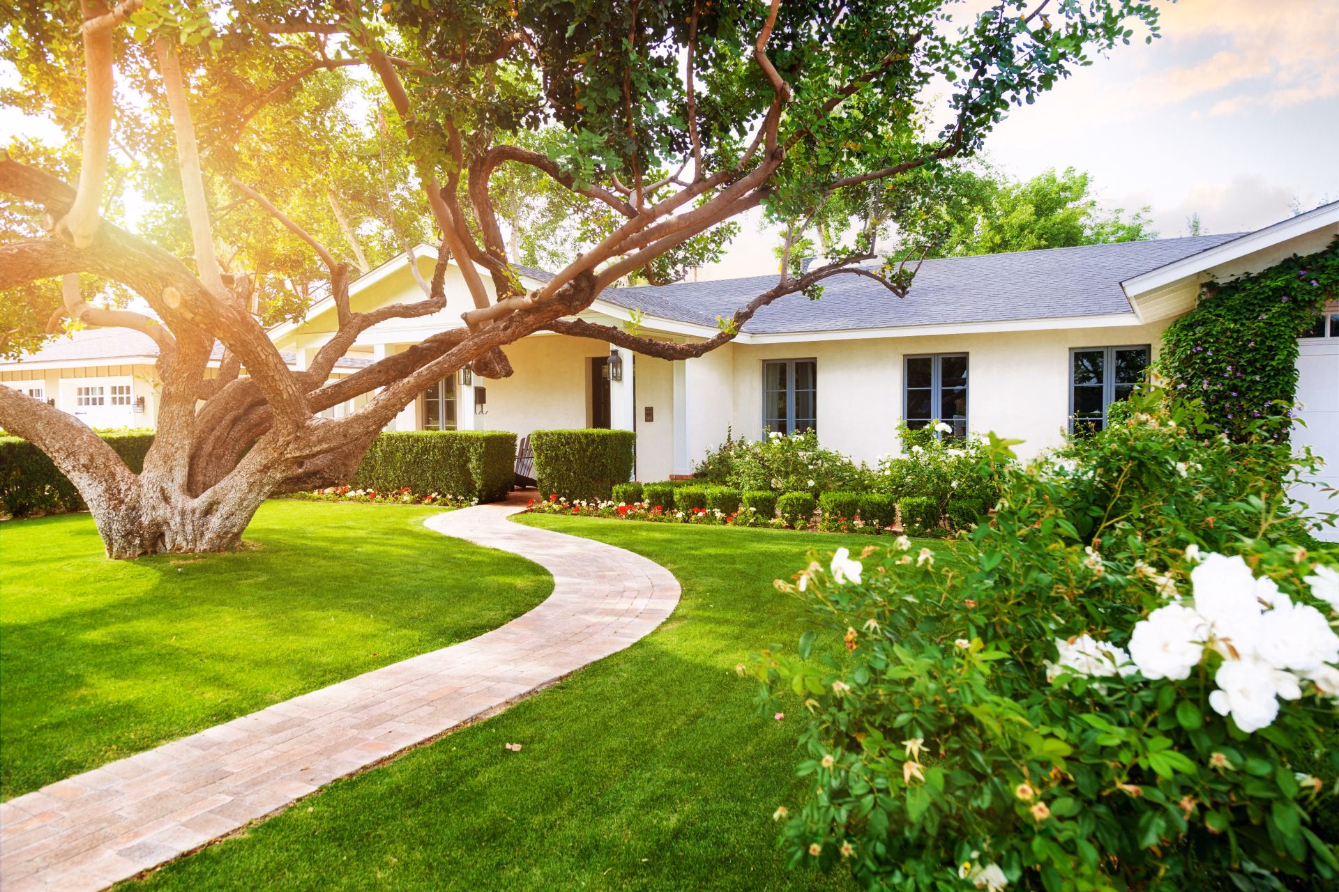 Single-story home with a large shade tree, walkway and green lawn