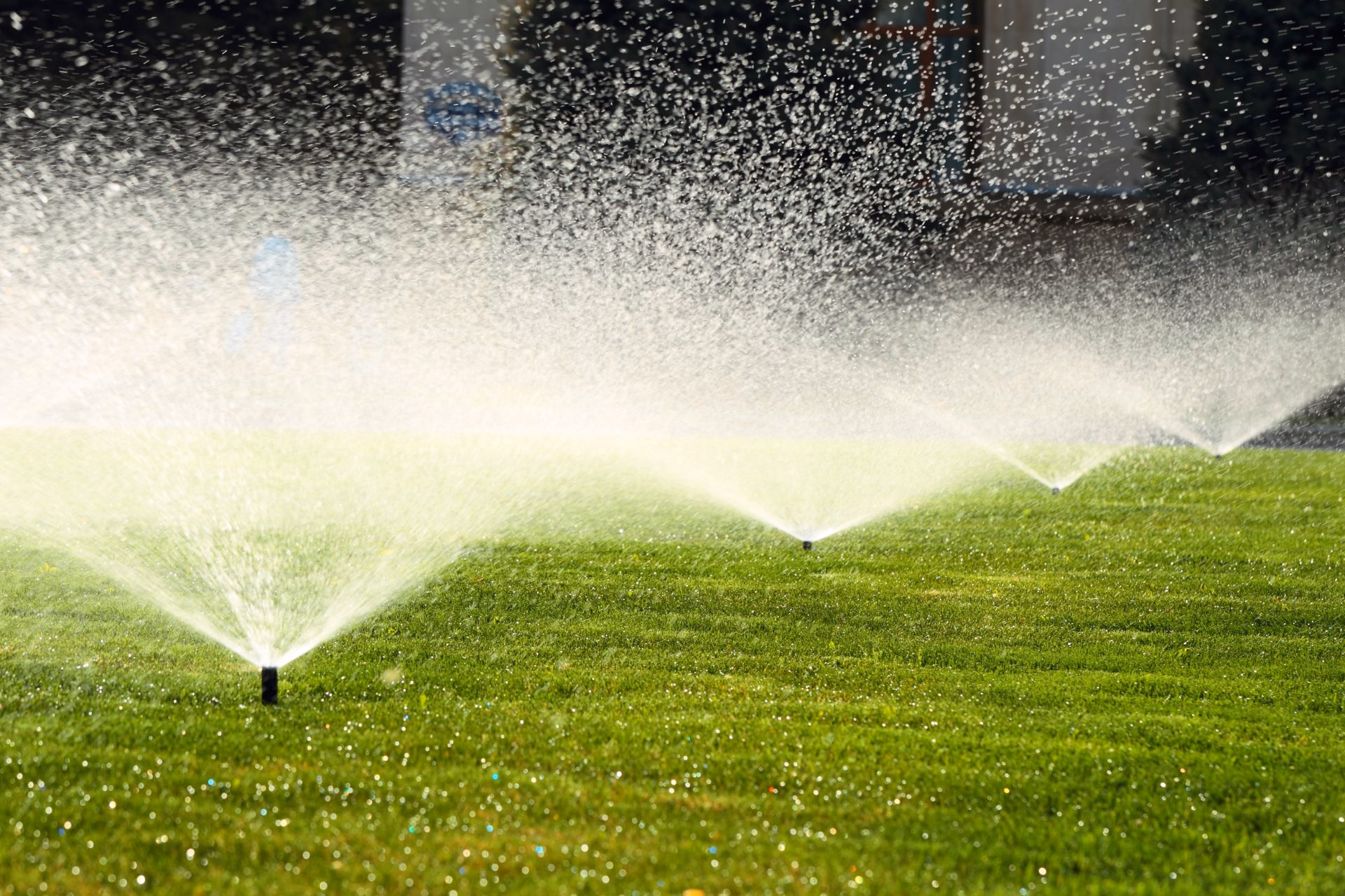 Row of sprinklers spraying water across a lawn