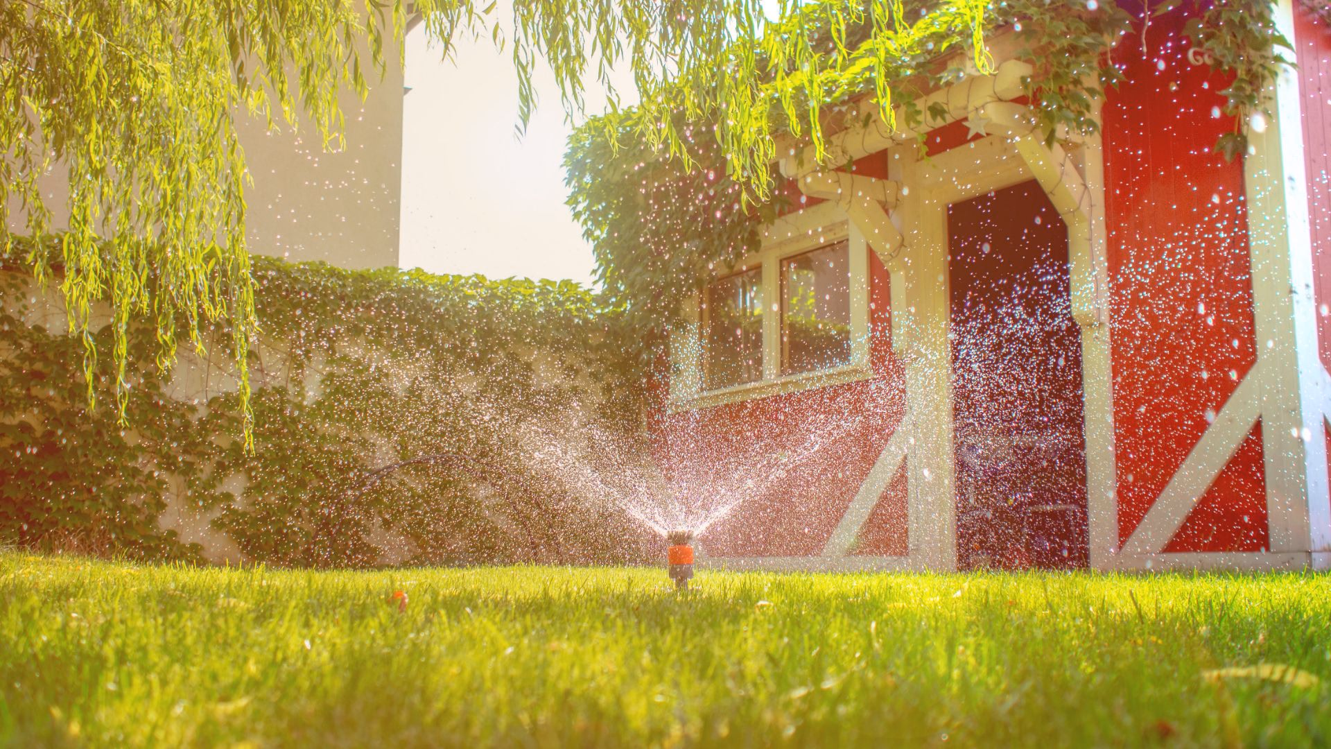 Sprinkler head watering the lawn beside a red barn