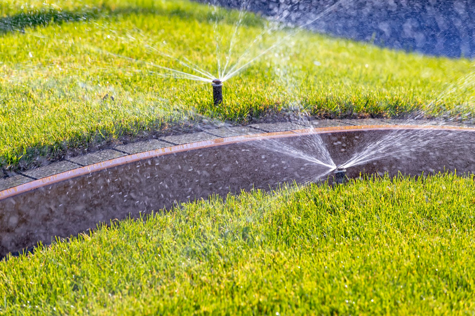 Sprinklers watering a lawn along a concrete curb